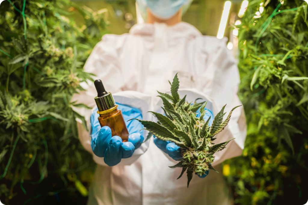 25027-1-1-1024x682 EXTENSÃO UNIVERSITÁRIA