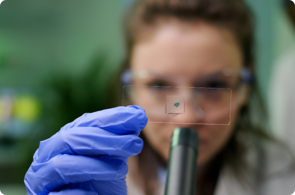 4590-1-1-1024x677 EXTENSÃO UNIVERSITÁRIA