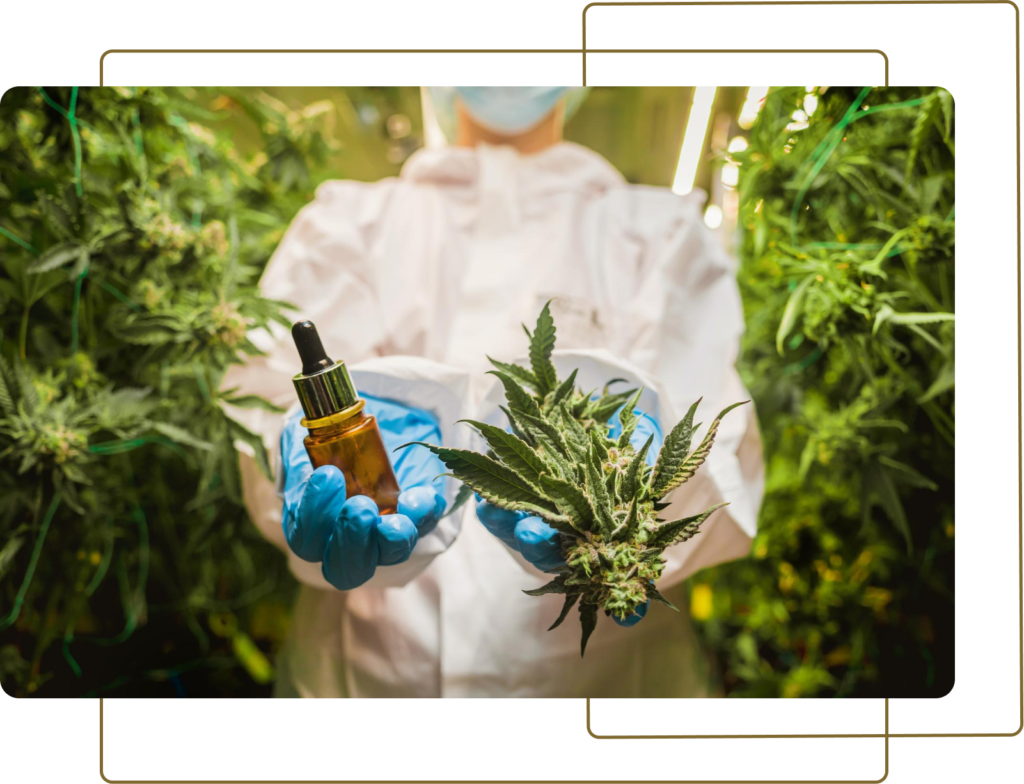 asas-1024x784 CANNABIS MEDICINAL: DA HISTÓRIA À PRESCRIÇÃO RESPONSÁVEL