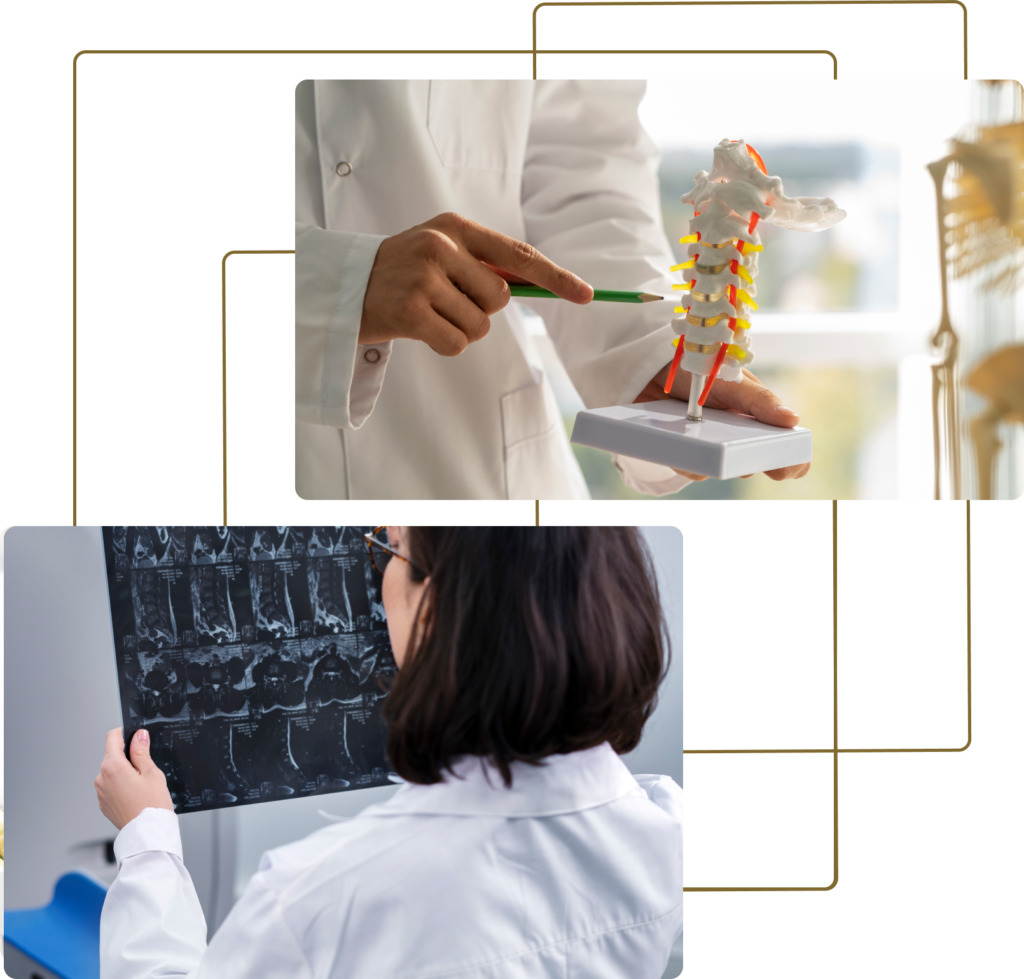 Group-235-1024x979 HEMATOLOGIA (MIELOGRAMA)