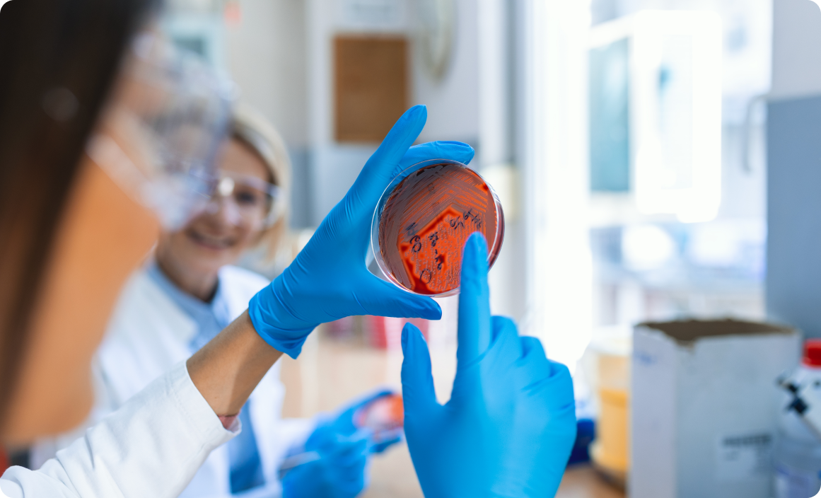 scientist-holding-petri-dish-with-bacterial-clones-female-lab-technician-working-with-strains-bacteria-grown-petri-dishes-1 PÓS-GRADUAÇÃO