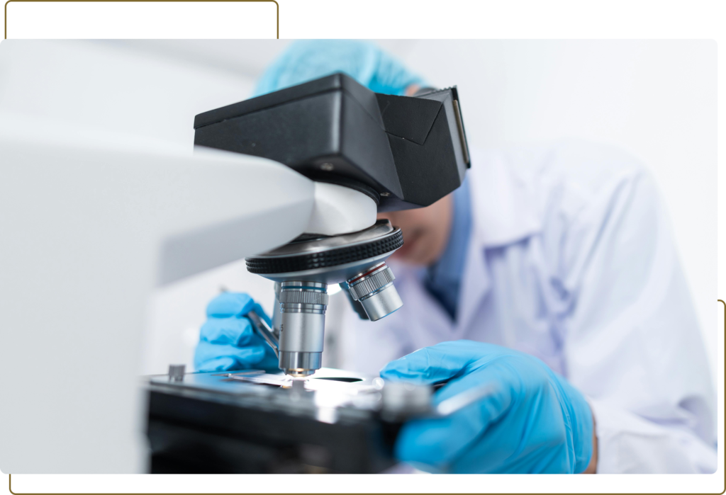 shsrrrsr-1024x699 ANÁLISE E INTERPRETAÇÃO DO HEMOGRAMA: DA TEORIA À PRÁTICA CLÍNICA